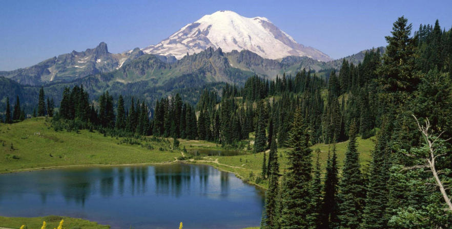 山东智能四五自动化科技有限公司轮播图4